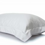 Egyptian Cotton Sateen - Pillow Case-standard